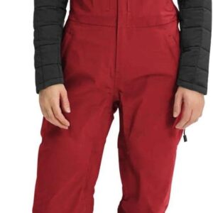 Women's Snow Bibs Insulated Waterproof Ski Bibs Overalls Winter Outdoor Snow Pants